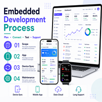 Correa Personalizada, Software Integrado Personalizado, Desarrollo de Software, Proveedor de Servicios de Soluciones de Software Personalizadas de por Vida