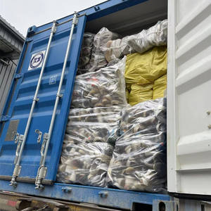 أحذية مستعملة للبيع بالجملة ، أحذية كاجوال مسطحة مدببة للسيدات ، أحذية مستعملة للنساء - Product Image 6