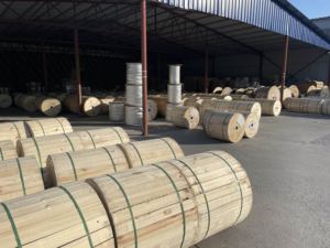 สายแลนความเร็วสูง <span class=keywords><strong>Cat5e</strong></span> Cat6 Cat6A สำหรับภายนอกอาคาร 23AWG แบบคู่บิดเกลียว UTP STP SFTP Cat6a 23AWG ทองแดงแท้ 1000 ฟุต สายกันน้ำ - Product Image 6