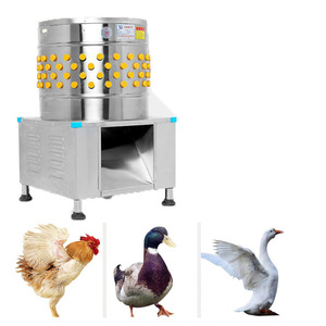 Machine à épiler le poulet au meilleur prix/machine à épiler les plumes à vendre/machine à épiler les plumes de cailles et de pigeons - Product Image 1