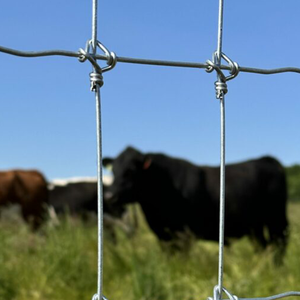 Fio de Aço Galvanizado Elétrico de Baixo Carbono Cor Prata 2.0/3.0mm para Cerca de Gado na Indústria de Pecuária - Product Image 5