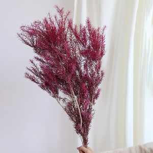 Mirtilli Dorati Sbiancati <span class=keywords><strong>e</strong></span> Conservati, Senza Rami Neri, per Fioristi <span class=keywords><strong>e</strong></span> Fai-da-Te, Fornitura per Bouquet - Product Image 6