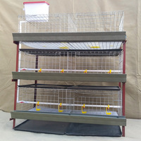 Cage d'élevage de poussins à 3/4 niveaux avec bande de fumier, pour poulets de la poussée à l'adulcoration, vente directe usine
