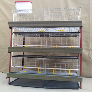 Cage d'élevage de poussins à 3/4 niveaux avec bande de fumier, pour poulets de la poussée à l'adulcoration, vente directe <span class=keywords><strong>usine</strong></span> - Product Image 5