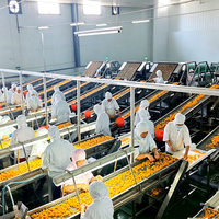 ENAK Groothandel Geconserveerde Mandarijn Citrus Sinaasappel Kiwi Appel Mango Fruitverwerkingslijn voor Conservenfabriek