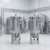Système de brassage artisanal, système de brasserie nano, ensemble de brassage 50L 100L