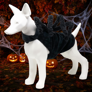 Costume d'araignée pour chien Creepy Webs, noir, taille XS, vêtements pour animaux de compagnie pour Halloween, design en velours pour chiens - Product Image 2