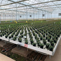 Banc roulant pour serre hydroponique à vendre