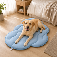 Tapis rafraîchissant auto-refroidissant motif nuage, mignon, durable, multi-tailles, pour toutes les saisons