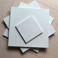 Paneles de Techo Falso Cuadrados de Aluminio de Color Blanco de 2'x2' y 2'x4', Panel de Techo de Aluminio para Techo Suspendido Interior