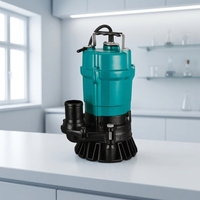 Pompe à eau submersible électrique, pompe souterraine, pompe électrique, série en fonte, accouplement pour eaux usées et déchets