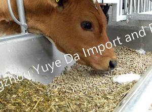 Machine à aliments secs pour animaux de compagnie extrudeuse manuelle de poisson machines de fabrication d'aliments pour volailles et poulets - Product Image 6