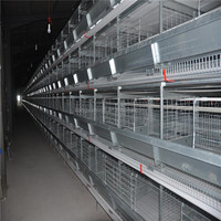 Nouvelle cage à poulets de type H en acier, équipement d'élevage avicole, cage à poulets de chair, système d'alimentation automatique, haute, 3-5 niveaux, galvanisée à chaud