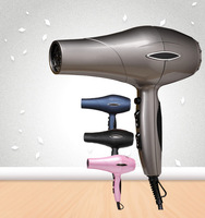 Sèche-cheveux compact portable super puissant 2000W Souffleur haute puissance Sèche-cheveux japonais coréen Double usage pour la maison Salon Voyage
