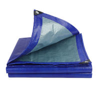 Bâche en HDPE bleue 50-450 g/m², écologique, résistante aux déchirures, imperméable, traitée anti-UV, anti-âge, résistante aux taches, coupe-vent