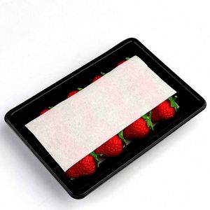Tampons absorbants Spilfyter pour nettoyer rapidement et facilement les déversements de liquides à base d'eau - Product Image 1