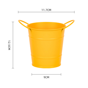 <span class=keywords><strong>Pot</strong></span> <span class=keywords><strong>de</strong></span> fleurs décoratif d'intérieur en fer galvanisé écologique, nouveau style, <span class=keywords><strong>petit</strong></span> seau à fleurs, prix abordable - Product Image 5