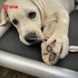 Cama Refrescante para Perros Hecha a Mano, Transpirable, Impermeable, Diseño Elevado, Extraíble, Lavable, Estilo Lujoso, para Todas las Estaciones, Uso en Exteriores, <span class=keywords><strong>PVC</strong></span> - Product Image 6