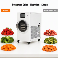 Machine de lyophilisation commerciale sous vide pour la transformation de carottes et de légumes en snacks, conception à plateaux multicouches en acier inoxydable