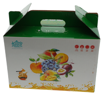 Forêts En Gros Classique Kraft Papier Boîte-Cadeau Pour L'emballage De Fruits Et Légumes Produit Carton Avec Poignée