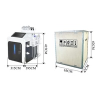 Machine professionnelle de beauté faciale de peau d'hydre de microdermabrasion de station thermale