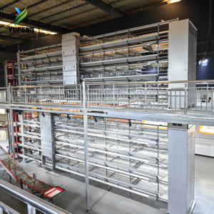 50000 चिकन एक सेट स्वचालित खेती उपकरण बैटरी पोल्ट्री ब्रोडर एच प्रकार ब्रोइडर एच प्रकार ब्रोइलर चिकन केज सिस्टम - Product Image 6