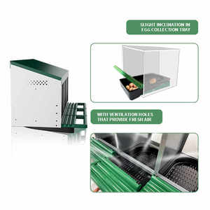 Cajas de anidación para gallinas ponedoras con bandejas desmontables - Product Image 2