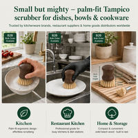 Brosse à vaisselle en bois avec poils Tampico, brosse de nettoyage manuelle pour ustensiles de cuisine, vaisselle et évier
