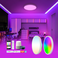 WIFI Smart Fixture 24W RGBCW Colorful Round Dimmable Voice Remote Control Plafonnier LED