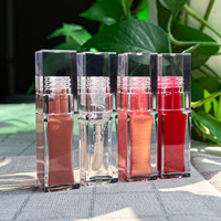 Maquillage végétalien en gros, gloss à lèvres mat, cosmétiques OEM, gloss à lèvres imperméable et longue tenue, gloss à lèvres de luxe avec étiquette privée