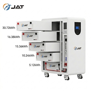 Batteria LiFePO4 51.2V con Garanzia di 10 Anni, Capacità 2.5kWh - 15kWh, Protezione LFP, BMS, Batteria a Parete AC - Product Image 3