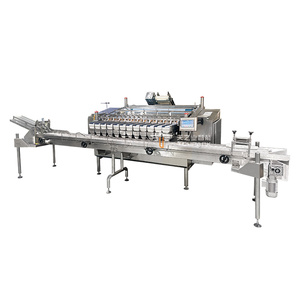 Machine de pesage, de remplissage et d'emballage entièrement automatique pour baies de myrtille avec distributeur de boîtes - Product Image 6