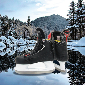 Patines de Hockey Profesionales Premium para Jóvenes y Adultos, Buena Resistencia al Desgaste, Patines de Hielo para Juegos de Hockey sobre Hielo en Invierno - Product Image 2