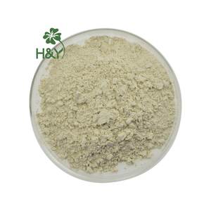 Miglior prezzo di alta qualità 100% solubile in acqua polvere di frutta <span class=keywords><strong>Soursop</strong></span> polvere di frutta bevanda alla frutta - Product Image 3