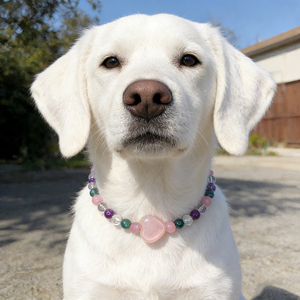 2026 <b>Dog</b> Healing Crystal Necklace pet Decorative necklace Sparkling Crystal Pet Natural <b>Beads</b> Pet Neck <b>Collar</b> Accessory - Product Image 5