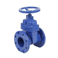 Vanne à opercule manuelle en fonte ductile DINF4 -F5 BS5163 2" 4" à siège élastique et joint souple, à bride en coin