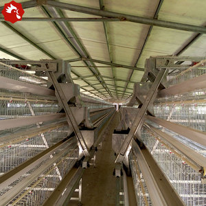 Sistema <span class=keywords><strong>de</strong></span> Jaulas en A para Gallinas Ponedoras con Capacidad para 10000 Aves, para una Gestión Automatizada - Product Image 3