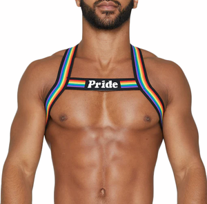 Pride day – harnais arc-en-ciel, sangle d'épaule, Muscle, décoration <span class=keywords><strong>de</strong></span> fête, <span class=keywords><strong>de</strong></span> boîte <span class=keywords><strong>de</strong></span> nuit pour hommes, sangles <span class=keywords><strong>de</strong></span> <span class=keywords><strong>costume</strong></span>, harnais élastique personnalisé Sexy pour hommes - Product Image 2
