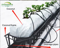Serre tunnel en film plastique à simple portée pour l'agriculture, pour la culture verticale de légumes, système hydroponique