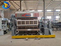 Machine de pulpe de plateau d'oeufs de recyclage de papier plateaux en papier moulé emballage de carton d'oeufs machine de fabrication de carton d'oeufs jetable
