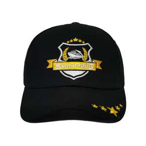 หมวกเบสบอลผ้าฝ้ายสีดำปี 2026 แบบ 6 แผง ทรงแข็ง ปักโลโก้ด้านหน้า ปักโลโก้ด้าน<span class=keywords><strong>หลัง</strong></span> ปีกโค้ง - Product Image 4