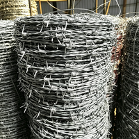 Grillage barbelé professionnel OEM avec options de matériaux en acier inoxydable et en fer pour clôtures de voies ferrées, de fermes et de jardins