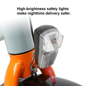 TXED Food <strong>Delivery</strong> Motorcycle Bicycle Rear Hub Motor Alloy Frame 48v 250W 7-speed <strong>Electric</strong> City <strong>Bike</strong> LCD Panel Fast Cargo <strong>Bike</strong> - Product Image 5