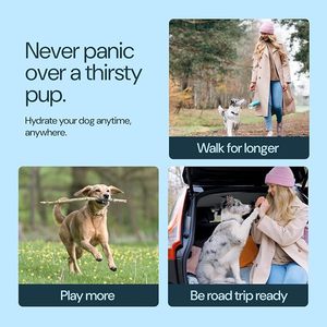 Bouteille d'eau rafraîchissante pour animaux de compagnie, en acier inoxydable, gourde anti-fuite pour chien, distributeur d'eau pour chiot pour les promenades en extérieur - Product Image 5