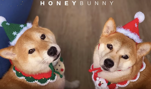 Accesorios de Ropa para Mascotas de Navidad, Hechos a Mano, Ecológicos, de Fibra Acrílica Tejida, con Diseño de Papá Noel y Reno, Patrón Sólido para Perros - Product Image 4