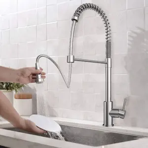 Redge-acciaio inossidabile spazzolato nero Torneira Gourmet rubinetti per lavello da cucina estraibili rubinetti da cucina a molla