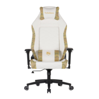 2025 PC mousse moulée combinée chaise en cuir PU gamer avec support lombaire chaise de jeu
