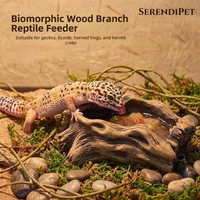 Bol d'alimentation pour reptiles en béton, forme de branche d'arbre réaliste, lourd, anti-renversement, pour dragon barbu, gecko léopard, serpent