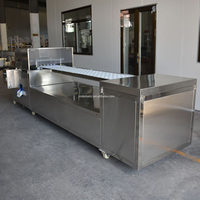 Prix de la machine à dénoyauter les graines de fruits frais dattes pêche prunes abricot pomme olive entièrement automatique