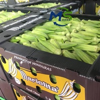 Boîte de transport en PP alvéolaire recyclable et résistante à l'usure pour riz, aliments pour animaux, melon amer, fruits et légumes de ferme